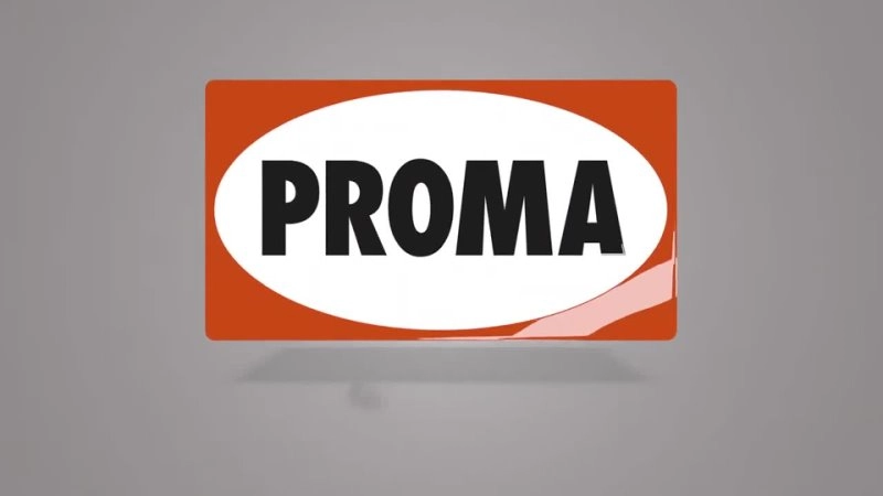 Комплект стамесок Proma HDB-45 (8шт) - изображение